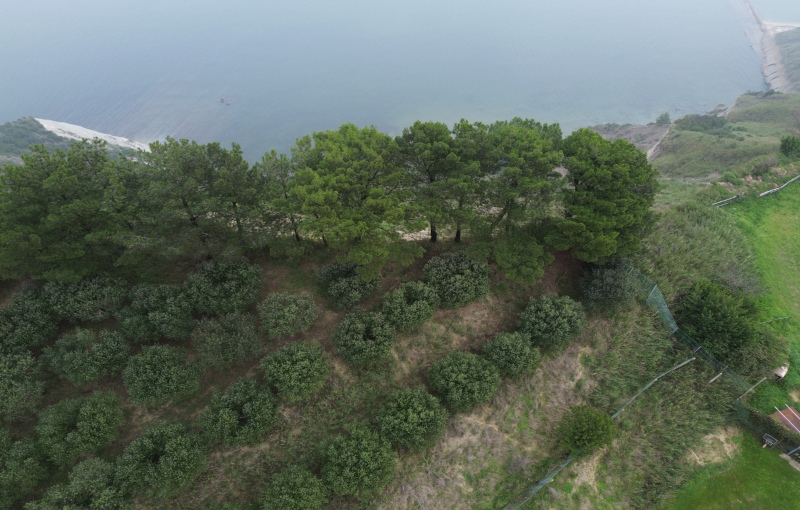 area M.te Conero